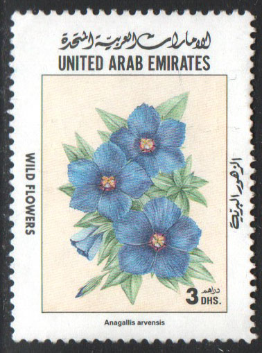 United Arab Emirates Scott 630 Used